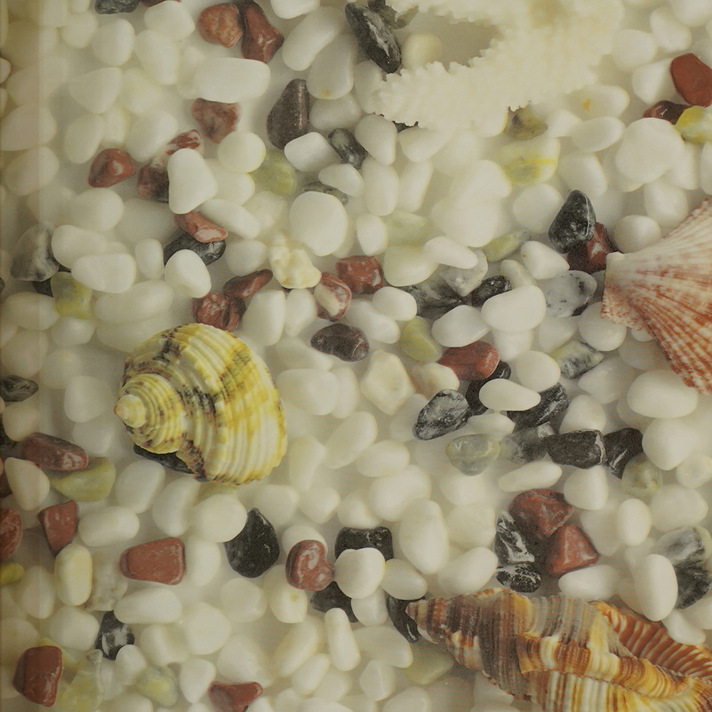 3D海洋之戀HC-8247